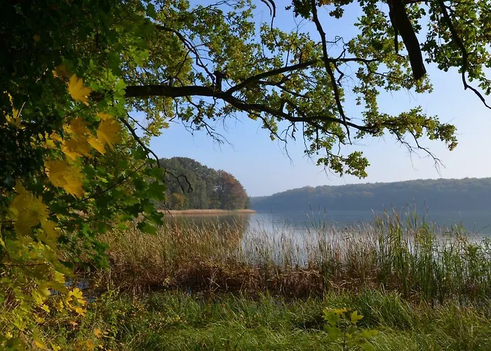 בית נופש Silence-lodge